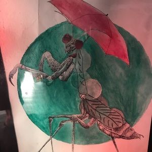 Meet your Posher, Jane joy